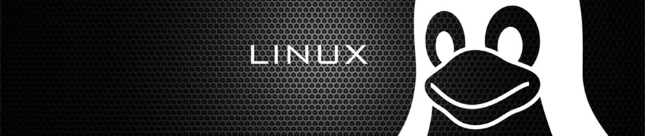 Hosting compartido Linux: Principales ventajas